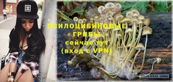 ПСИЛОЦИБИНОВЫЕ ГРИБЫ Алзамай