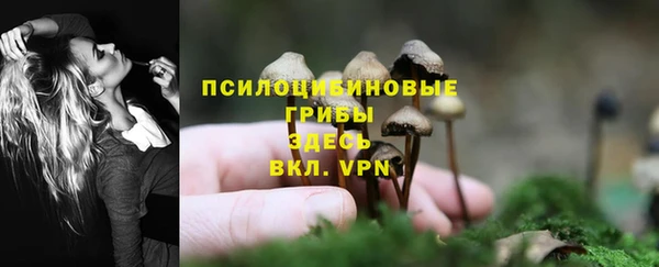 a pvp Сатка