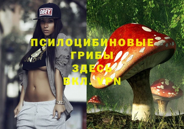 ПСИЛОЦИБИНОВЫЕ ГРИБЫ Алзамай