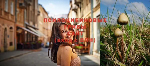 ГАЛЛЮЦИНОГЕННЫЕ ГРИБЫ Алексеевка