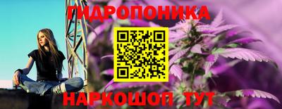 каннабис Берёзовский