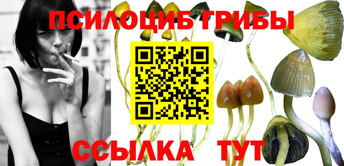 Дзержинский  Галлюциногенные грибы MAGIC MUSHROOMS  Галлюциногенные грибы прущие грибы  Вход с VPN 